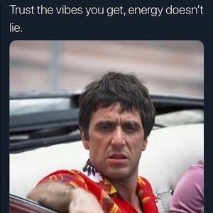 Meet your Posher, Joey